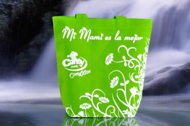 bolsos ecologicos decorados Peru