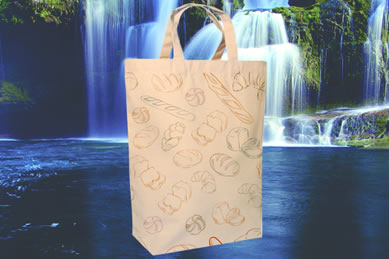 Bolso de Tocuyo con motivos ecológicos